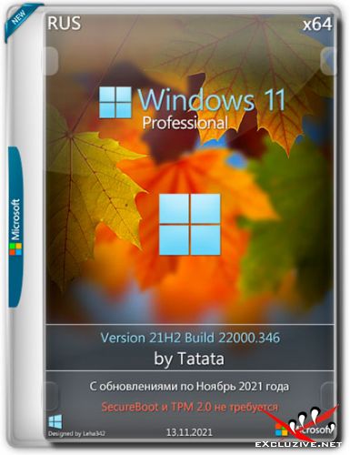 Windows 11 Professional 22000.346 x64 by Tatata (RUS/2021)