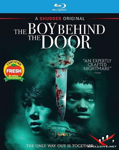  / The Boy Behind the Door (2020) HDRip / BDRip (720p, 1080p)