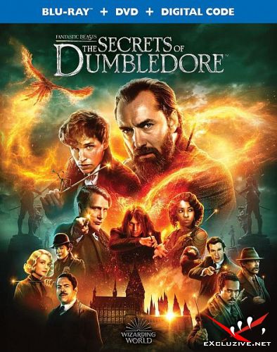  :   / Fantastic Beasts: The Secrets of Dumbledore (2022) HDRip / BDRip (720p, 1080p)