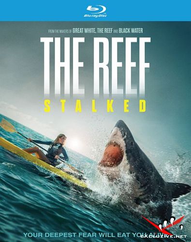  :   / The Reef: Stalked (2022) HDRip / BDRip (1080p)