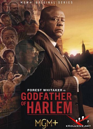    / Godfather of Harlem (3 /2023/WEB-DL/1080p/WEB-DLRip)